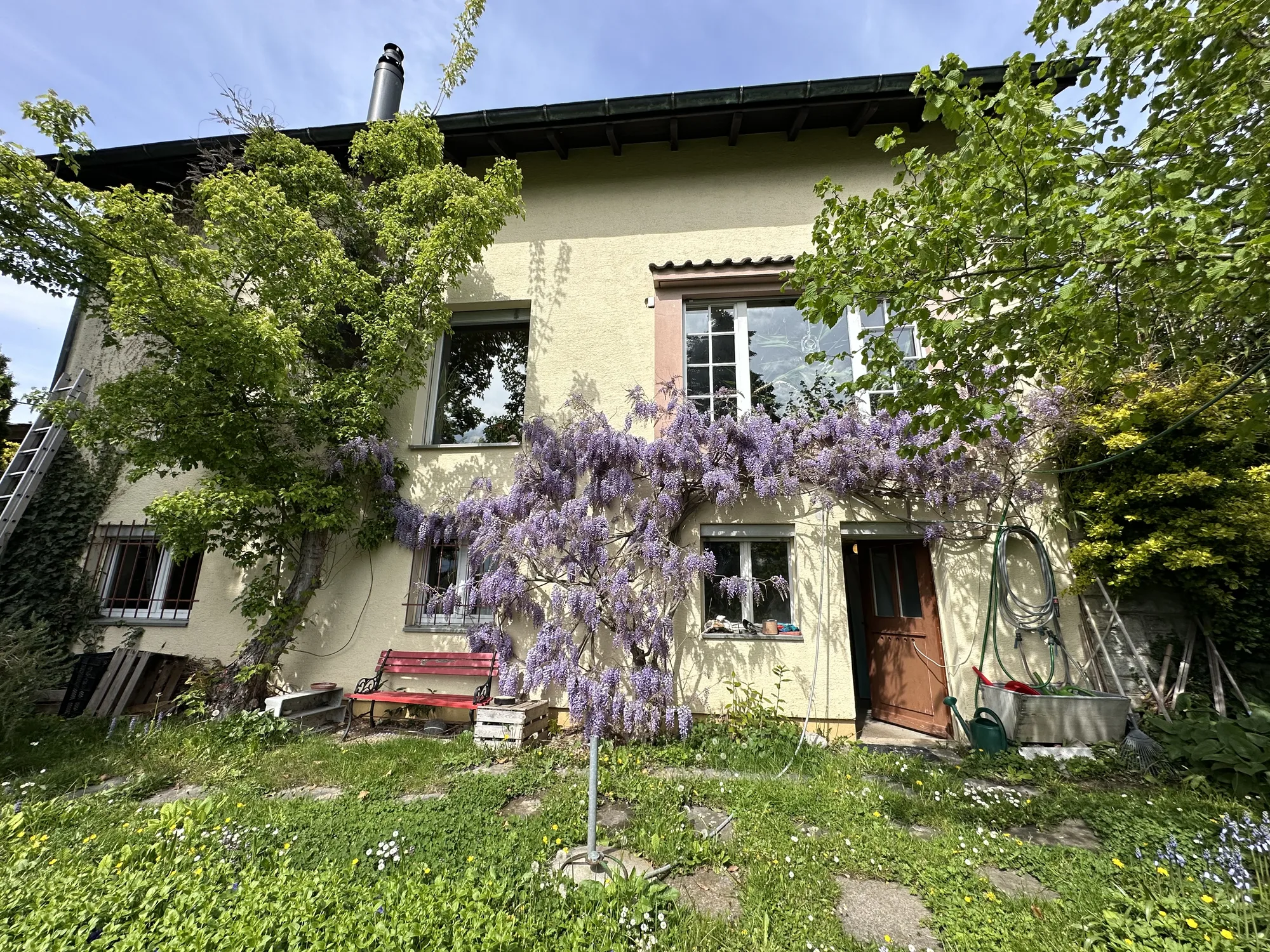 Südfassade mit blühender Glyzinie