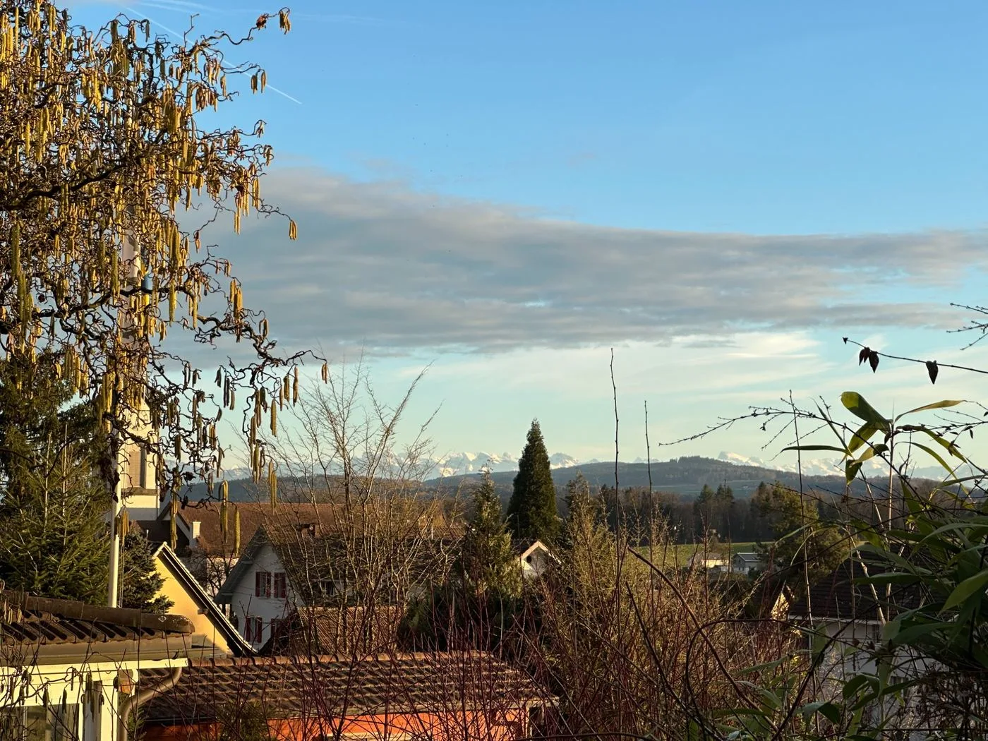Dottikon mit Kirche und Alpenkette